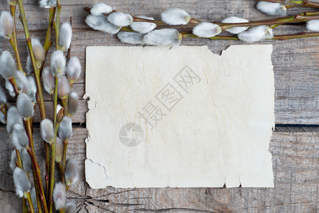 木制背景上的纸和柳枝图片
