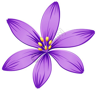 白色背景上的五瓣紫色花的插图高清图片