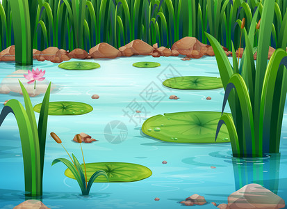 有绿色植物的池塘的插图图片
