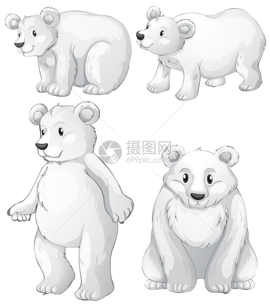 四只白色北极熊在白色背景上的插图图片