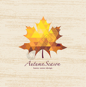 木制背景上的秋季炫彩矢量叶背景图片