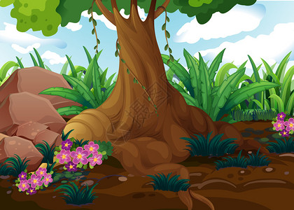丛林中一棵老树的插图图片