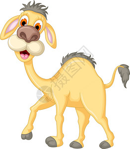 博登塞可爱的骆驼卡通矢量插画插画