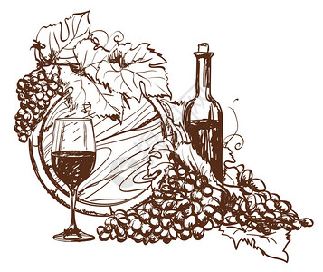 酒坛子白酒静物手绘葡萄和一瓶酒向量插画