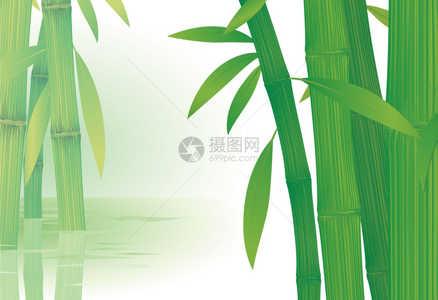 竹子矢量图片