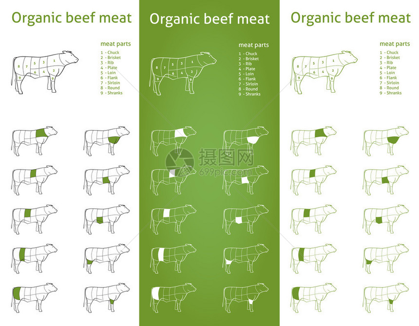 用于包装的有机牛肉部分图标图片