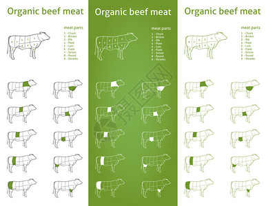 用于包装的有机牛肉部分图标图片