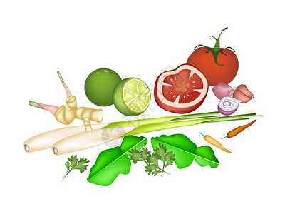 姜葱粉丝焗肉蟹蔬菜和草本插画