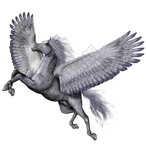 这是神马功夫佩加苏斯是一匹有翅膀的神马被民间传说和传说中的波插画