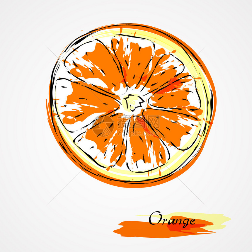 手绘的橙色矢量柑橘水果切片图片