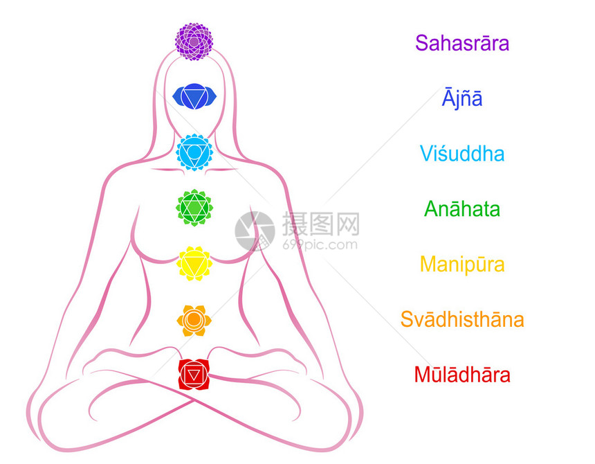 七个主要脉轮沿着冥想女相应身体区域串珠梵文名称在白色图片