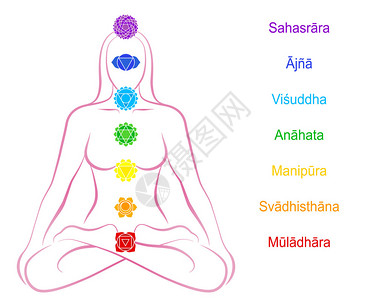 相应的七个主要脉轮沿着冥想女相应身体区域串珠梵文名称在白色插画