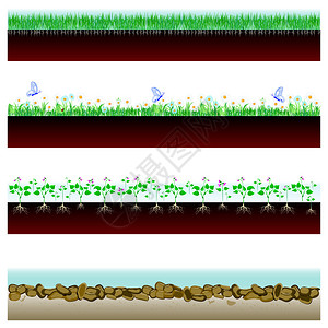 土壤切开草地鲜花和石图片