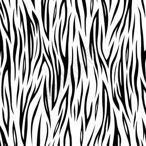 裂口黑白斑马背景的矢量图解插画
