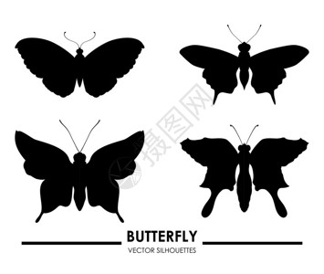蝴蝶设计在白色背景矢量图图片
