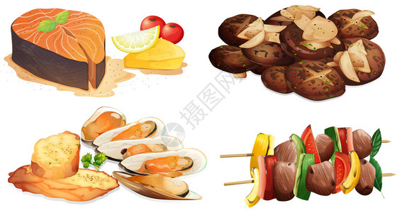 七大营养素不同菜肴的插图插画