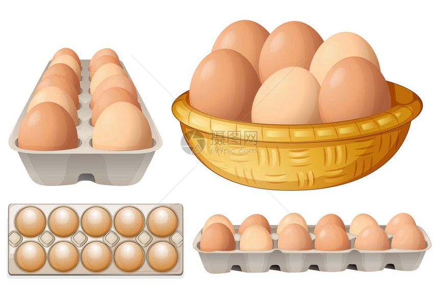 不同容器中鸡蛋的插图图片