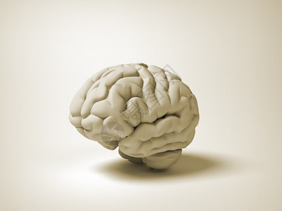 概念人类大脑图片