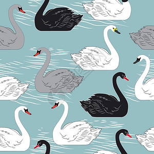 Swans无缝天鹅式矢量模背景图片