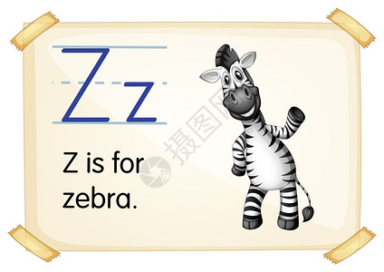 带有字母Z的抽认卡插图背景图片