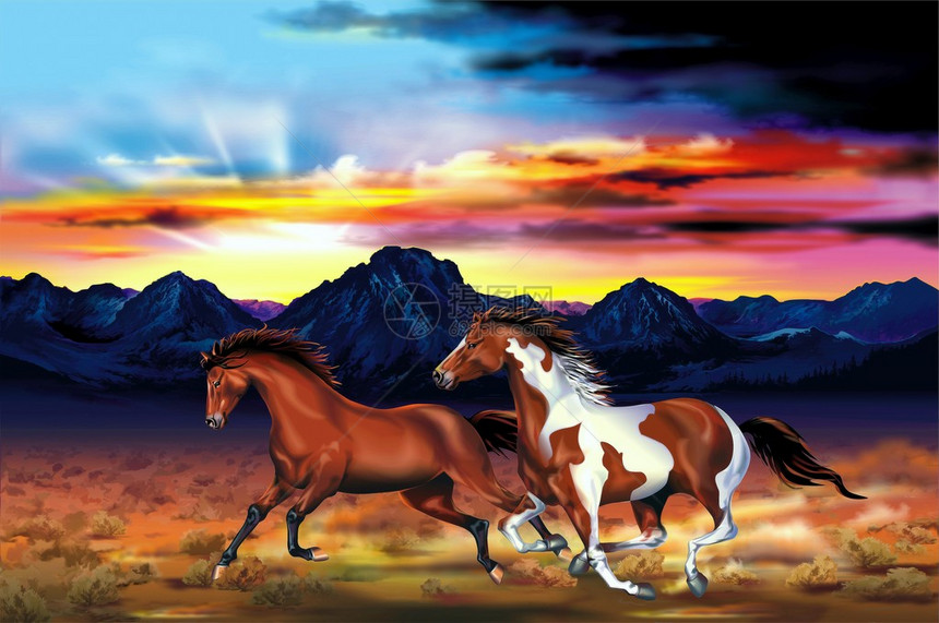 两匹野马在日落艺术说明图片
