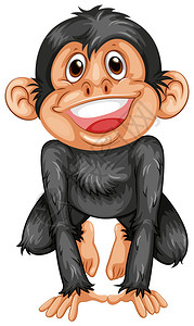 黑猩猩的插图图片