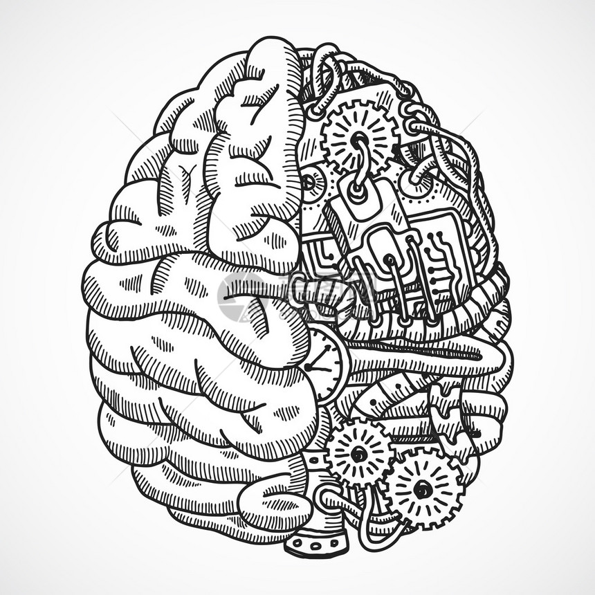 人类大脑作为工程处理机器素描草图的人体大脑图片