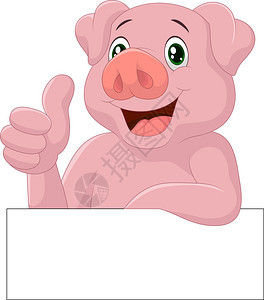 施韦泽以矢量插图说明猪插画