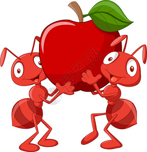 两只蚂蚁拿着红苹果的矢量图解图片