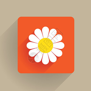 平面设计中的雏菊花图片