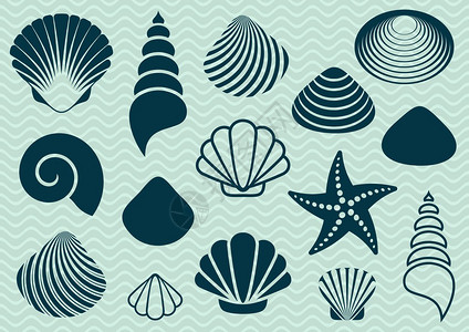 套各种样的海贝壳和海星剪影图片