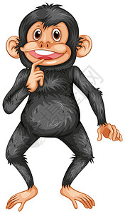 黑猩猩的插图高清图片