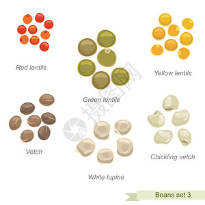 野豌豆以名称设置的固体插画