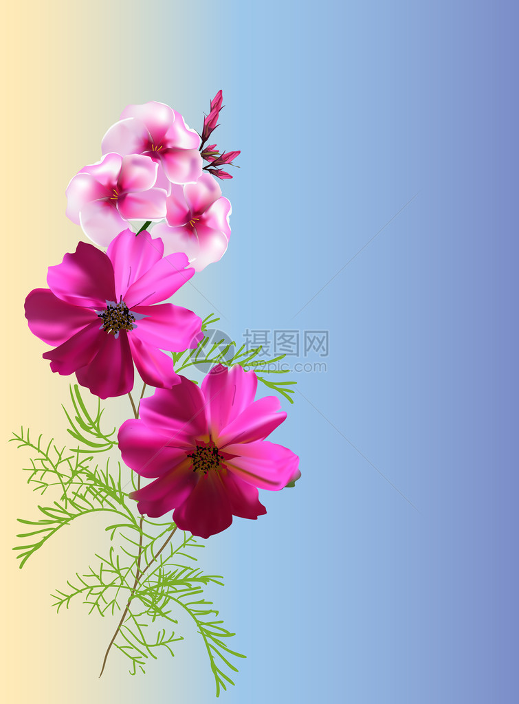 浅色背景上带有粉红色小花的插图图片
