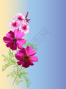 浅色背景上带有粉红色小花的插图背景图片