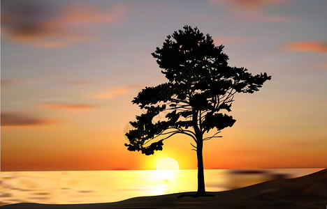 在海边日落时单松树剪影的插图图片