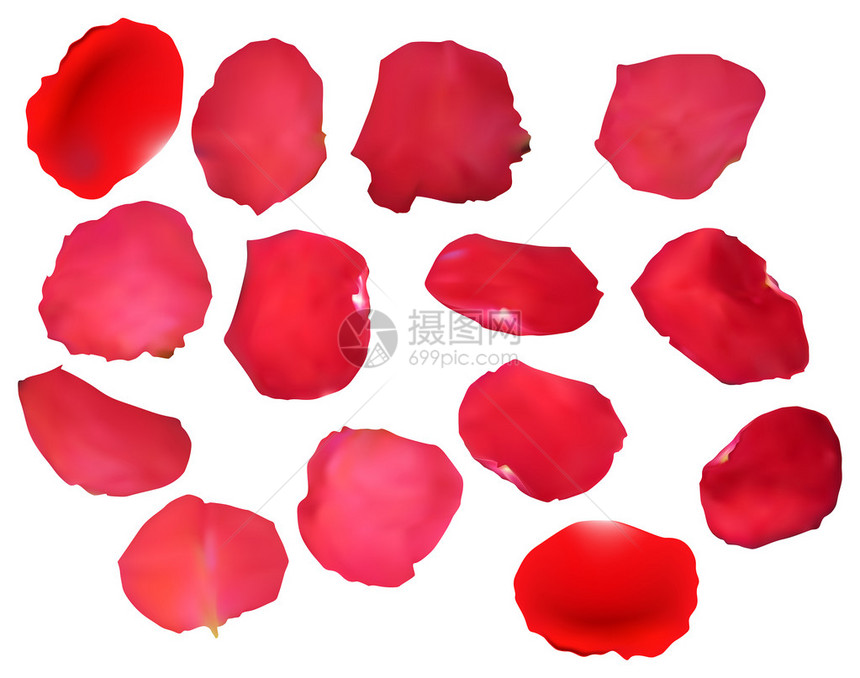 以14个红玫瑰花瓣作为插图图片