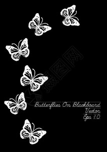 黑色背景和位置上的简单的白蝴蝶NameBlack图片