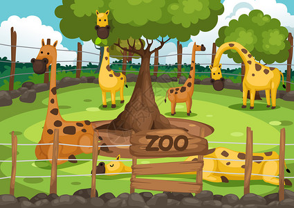 动物园和长颈鹿矢量插图图片
