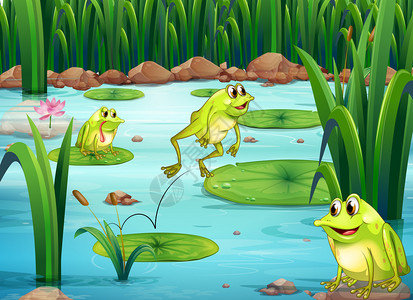 池塘里许多青蛙的插图图片