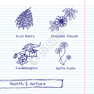 一手拉插图健康与自然集草药的集合天然补品GotuKola图片