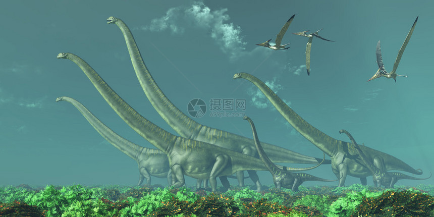 Pteranodon爬行动物飞过白鲸时代的一群图片