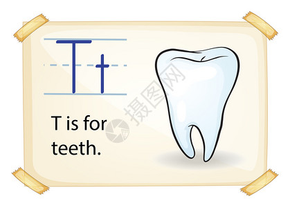 白色背景上牙齿的字母T图片