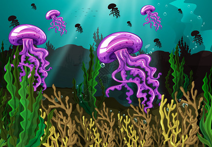 海水下的水母图片
