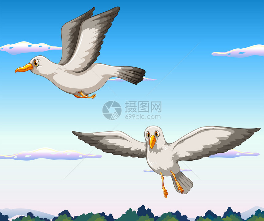 两只海鸥在天上飞图片