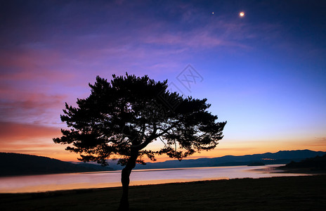 湖边月亮日出上的抽象树剪影图片