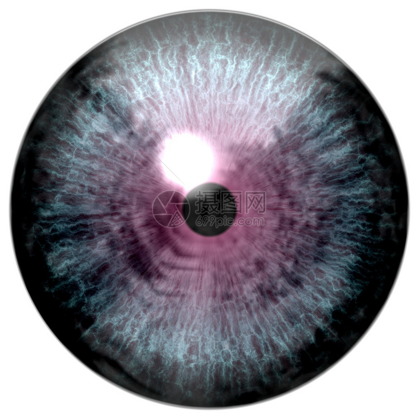 有紫色虹膜的动物眼睛眼睛灯泡的细节视图图片