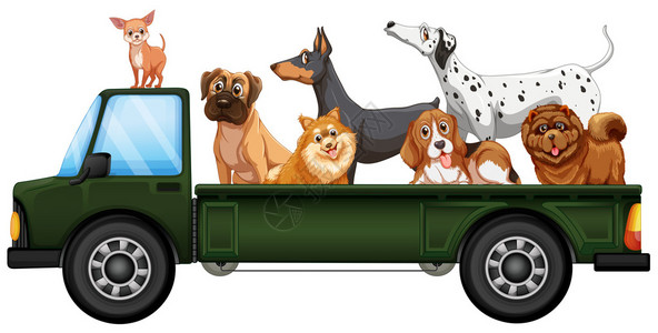 卡车上的许多狗的插图图片