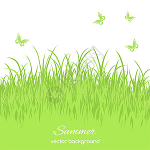春天卡与白色背景上的草背景图片