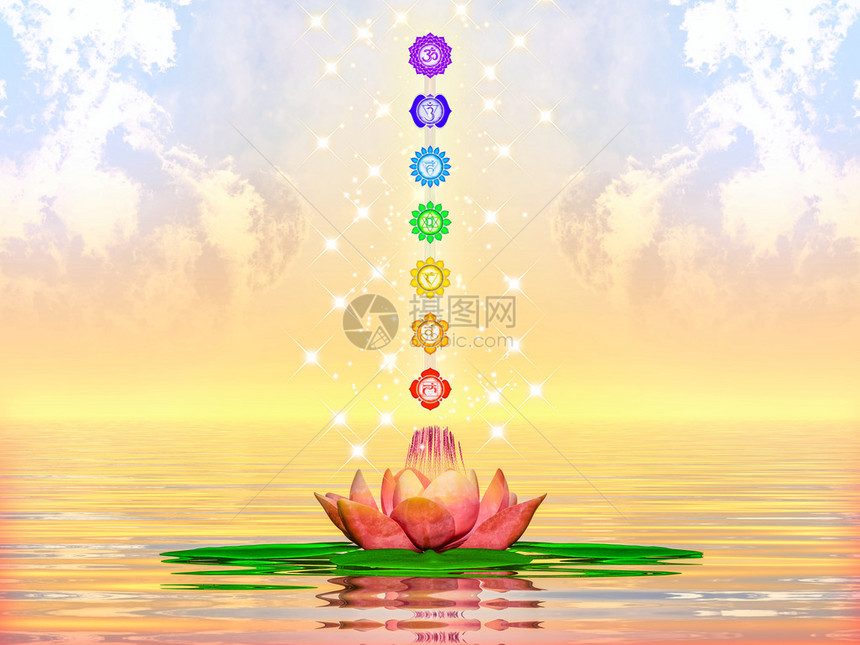 说明一个神圣的莲花和Chakrama图片